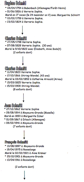 branche agnatique 2